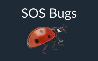 Laravel : – Images ne se chargent après nettoyage du VPS
